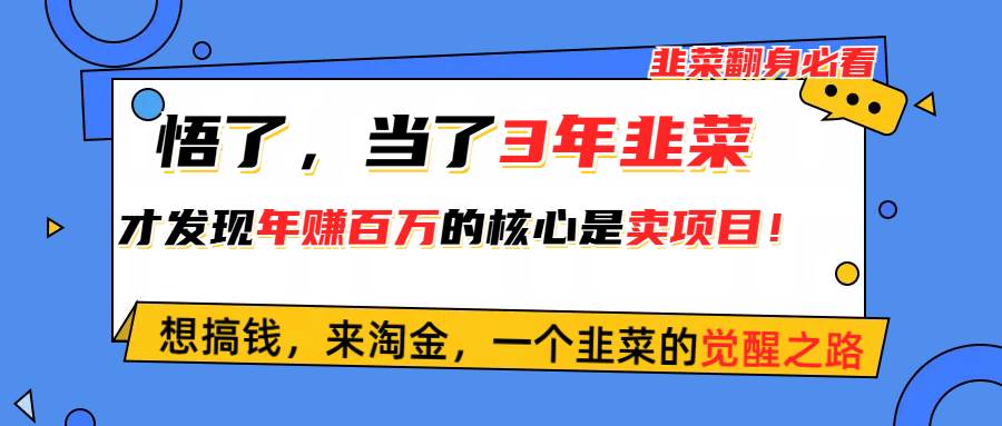 悟了，当了3年韭菜，才发现网赚圈年赚100万的核心是卖项目，含泪分享！-烽云网