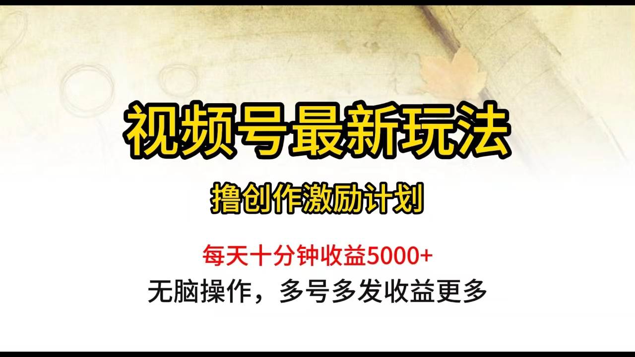 视频号最新玩法,每日一小时月入5000+-烽云网