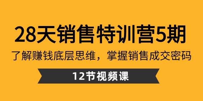 28天·销售特训营5期：了解赚钱底层思维，掌握销售成交密码（12节课）-烽云网