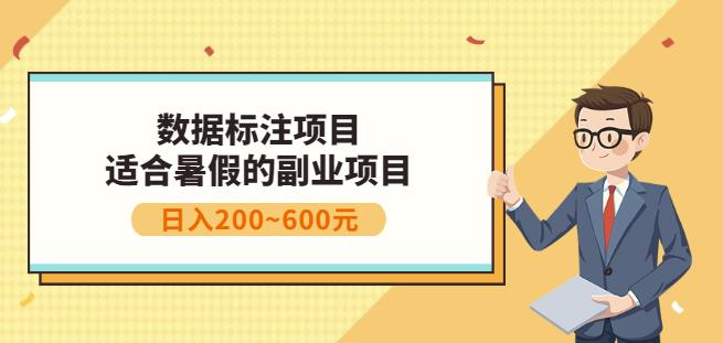 副业赚钱：人工智能数据标注项目，简单易上手，小白也能日入200+-烽云网