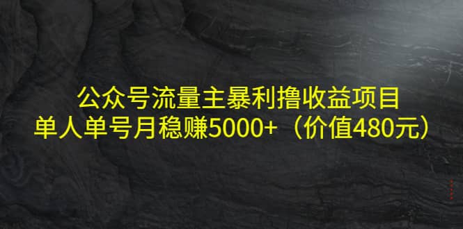 公众号流量主暴利撸收益项目，单人单号月稳赚5000+（价值480元）-烽云网