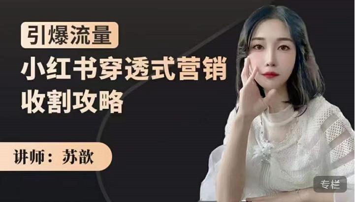 小红书穿透式营销收割攻略，引爆流量，助你玩转小红书-烽云网