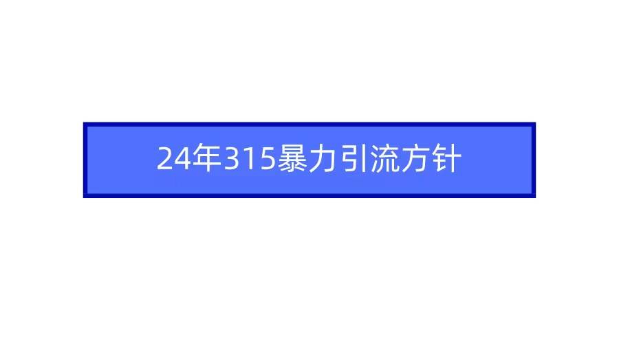 2024年315暴力引流方针-烽云网