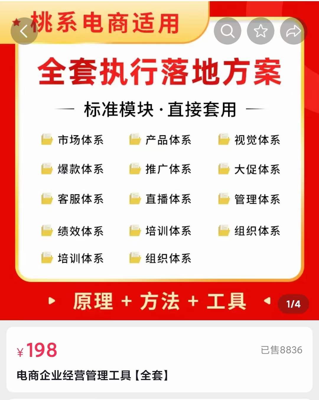 外面卖198·电商企业经营管理工具：全套执行落地方案 标准模块·直接套用-烽云网