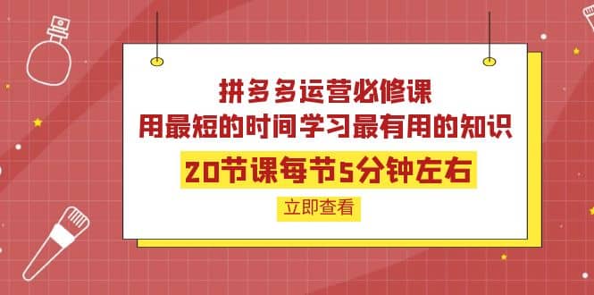 拼多多运营必修课：20节课每节5分钟左右，用最短的时间学习最有用的知识-烽云网