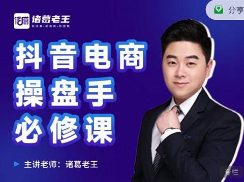 诸葛老王-抖音电商操盘手必修课：顶层设计，​起号破局，爆款运营，数据分析-烽云网