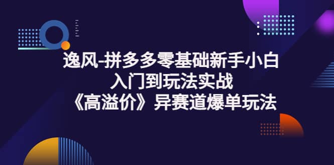 拼多多零基础新手小白入门到玩法实战《高溢价》异赛道爆单玩法实操课-烽云网