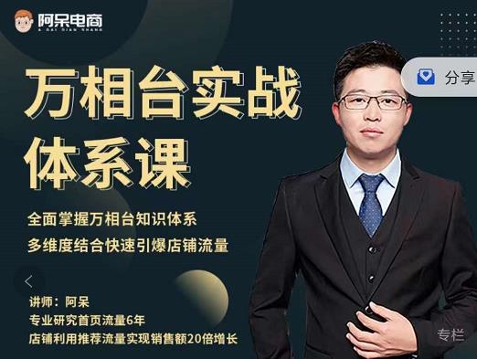 阿呆-万相台实战体系课,帮您全面掌握万相台知识体系-烽云网