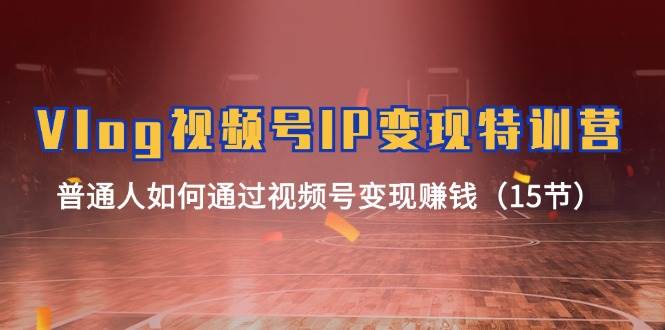 Vlog 视频号IP变现特训营，普通人如何通过视频号变现赚钱（15节）-烽云网