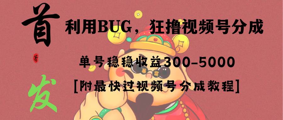 全网独家首发，视频号BUG，超短期项目，单号每日净收益300-5000！-烽云网