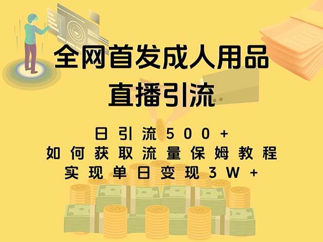 最新全网独创首发,成人用品直播引流获客暴力玩法,单日变现3w保姆级教程-烽云网