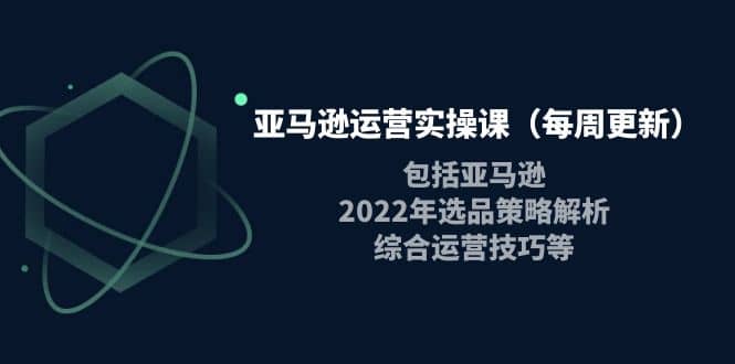 亚马逊运营实操课（每周更新）包括亚马逊2022选品策略解析，综合运营技巧等-烽云网