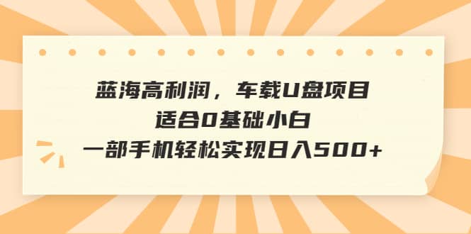 蓝海高利润，车载U盘项目，适合0基础小白，一部手机轻松实现日入500+-烽云网
