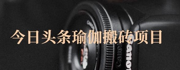 猎人社区·今日头条瑜伽搬砖项目，单号一天几十收入，可以批量操作！-烽云网