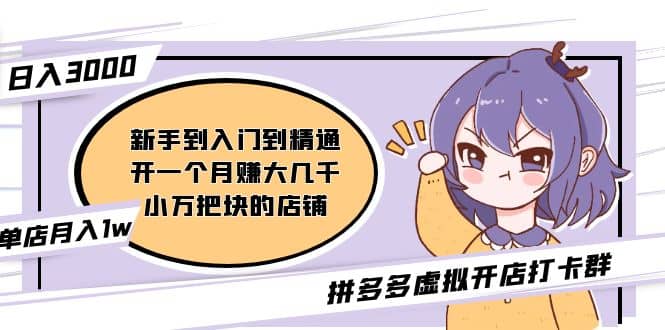 拼多多虚拟开店打卡群：新手到入门到精通-烽云网