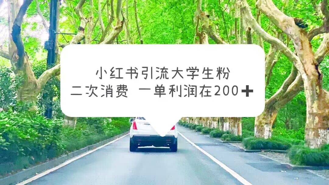 小红书引流大学生粉，变现项目，一单利润在200+（教程+资源）-烽云网