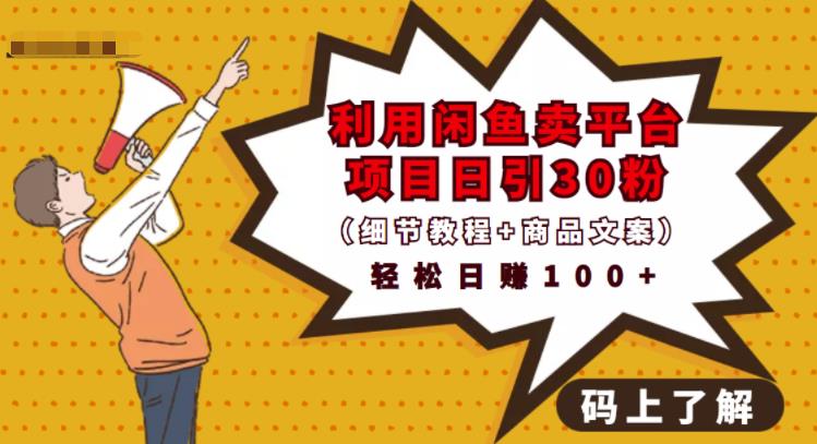 利用闲鱼卖平台项目课程资源日引流30+精准粉丝，轻松日赚100+，积累人脉可实现二次变现（细节教程+商品文案）-烽云网