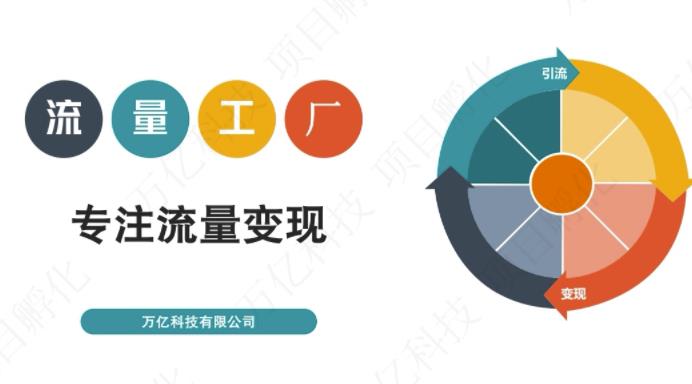 收费3980的流量工厂回粉项目，号称1个粉10元【详细玩法教程解析】-烽云网