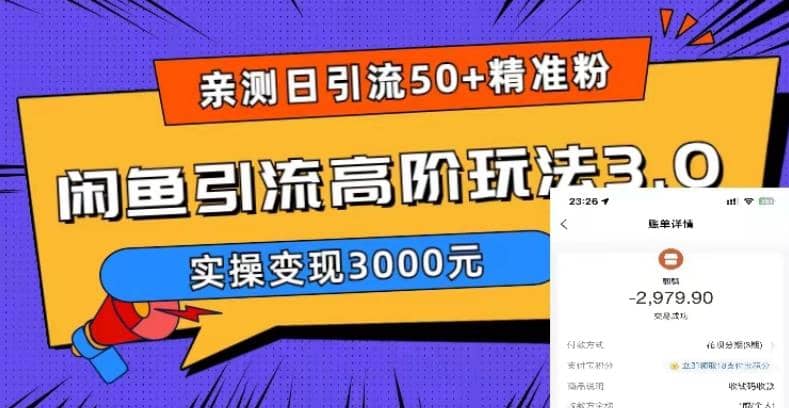 实测日引50+精准粉，闲鱼引流高阶玩法3.0，实操变现3000元-烽云网