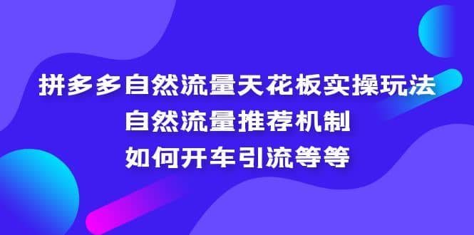 拼多多自然流量天花板实操玩法:自然流量推荐机制,如何开车引流等等-烽云网