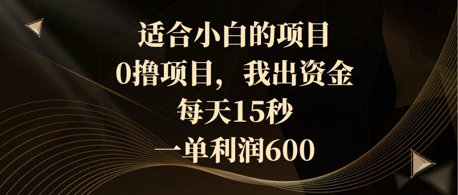 适合小白的项目，0撸项目，我出资金，每天15秒，一单利润600-烽云网