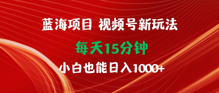 蓝海项目视频号新玩法 每天15分钟 小白也能日入1000+-烽云网