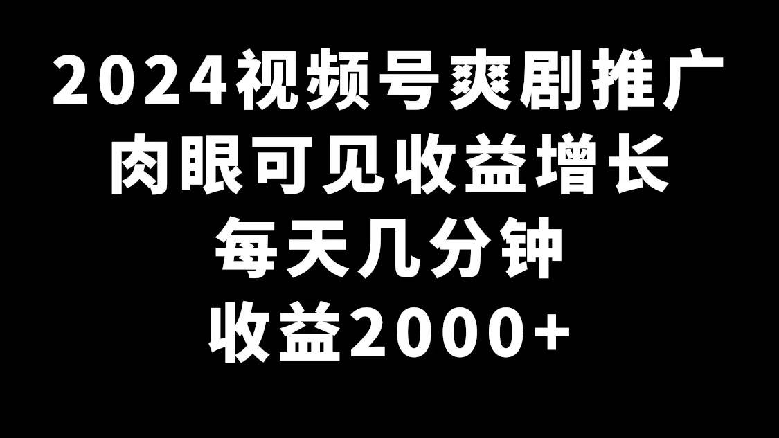 2024视频号爽剧推广，肉眼可见的收益增长，每天几分钟收益2000+-烽云网
