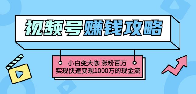 玩转微信视频号赚钱:小白变大咖涨粉百万实现快速变现1000万的现金流-烽云网
