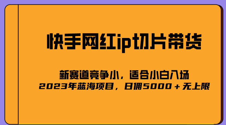 2023爆火的快手网红IP切片，号称日佣5000＋的蓝海项目，二驴的独家授权-烽云网