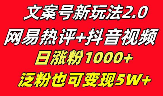 文案号新玩法 网易热评+抖音文案 一天涨粉1000+ 多种变现模式 泛粉也可变现-烽云网