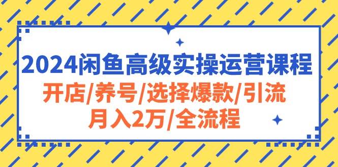 2024闲鱼高级实操运营课程：开店/养号/选择爆款/引流/月入2万/全流程-烽云网