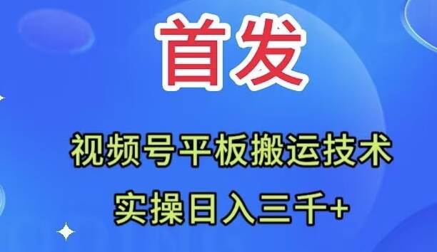 全网首发：视频号平板搬运技术，实操日入三千＋-烽云网