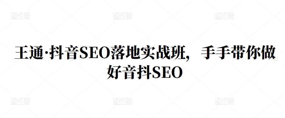 王通·抖音SEO落地实战班，手‬手带你做好音抖‬‬SEO-烽云网