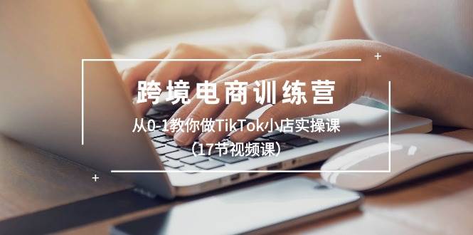 跨境电商训练营：从0-1教你做TikTok小店实操课（17节视频课）-烽云网