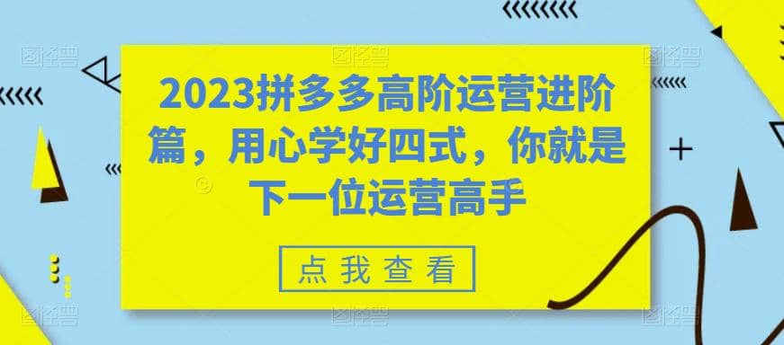 2023拼多多高阶运营进阶篇，用心学好四式，你就是下一位运营高手-烽云网