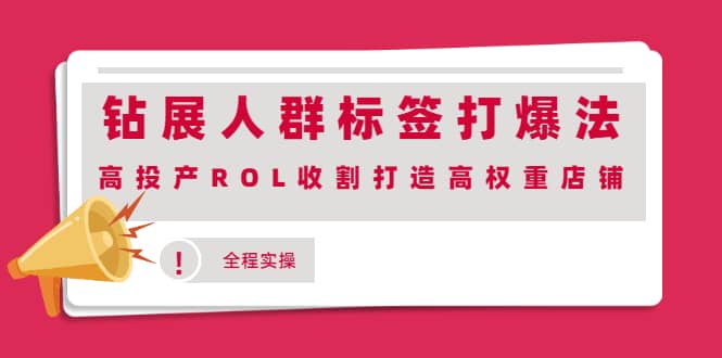 钻展人群标签打爆法,高投产ROL收割打造高权重店铺(全程实操)-烽云网