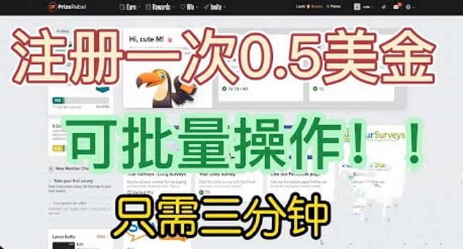 国外项目注册一次0.5美金 只需三分钟无脑操作 可批量放大 小白工作室福利-烽云网