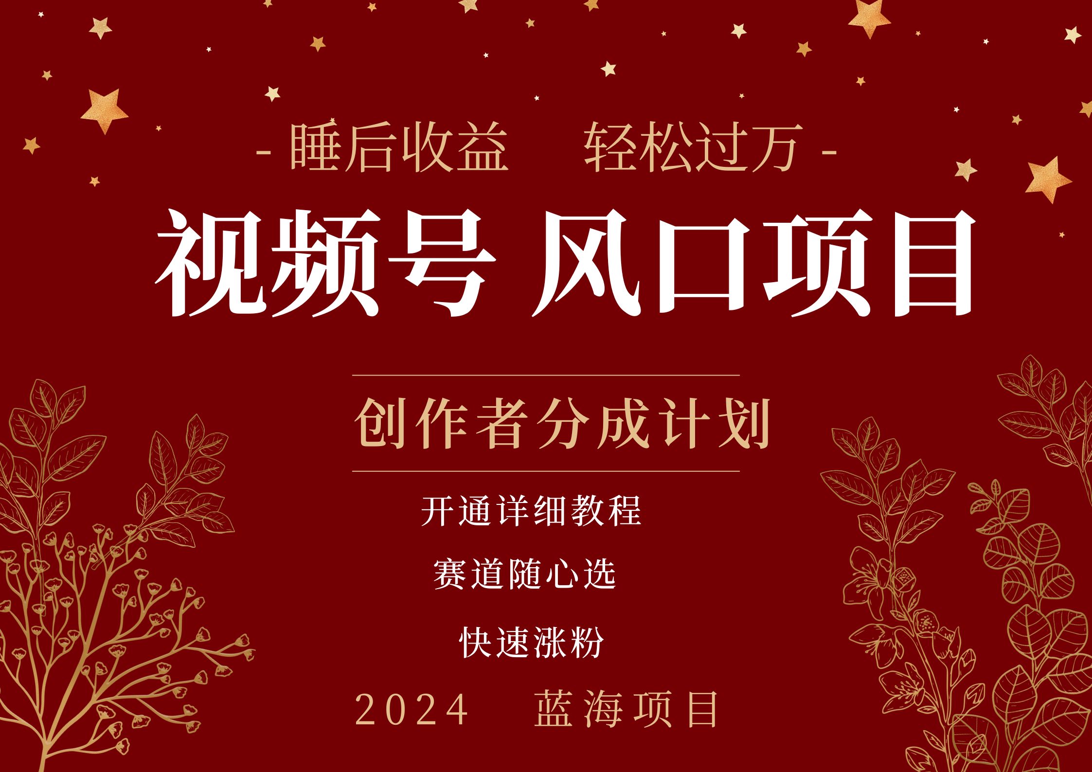 拥有睡眠收益的微信视频号大风口项目，轻松月入过万+，多赛道选择，可矩阵，玩法简单轻松上手-烽云网