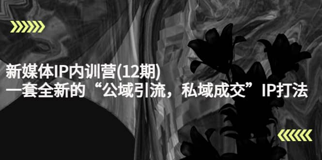新媒体IP内训营(12期),一套全新的“公域引流,私域成交”IP打法,直接带走-烽云网