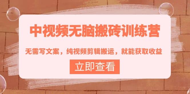 中视频无脑搬砖训练营:无需写文案,纯视频剪辑搬运,就能获取收益-烽云网