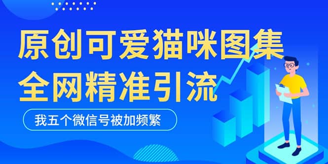 黑科技纯原创可爱猫咪图片，全网精准引流，实操5个VX号被加频繁-烽云网