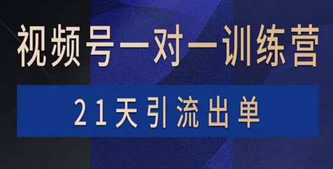 视频号训练营:带货,涨粉,直播,游戏,四大变现新方向,21天引流出单-烽云网