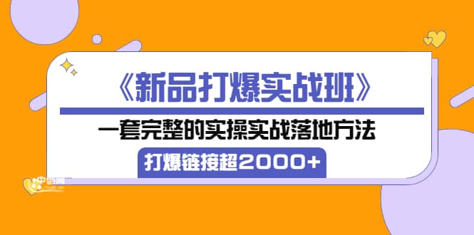 《新品打爆实战班》一套完整的实操实战落地方法,打爆链接超2000+(38节课)-烽云网