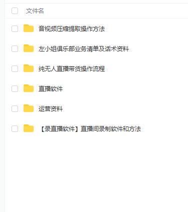左小姐-直播带货俱乐部十三行、无人直播，全套教程附：工具、文档、话术资料-烽云网