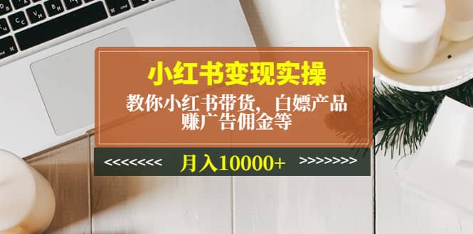 小红书变现实操：教你小红书带货，白嫖产品，赚广告佣金等-烽云网