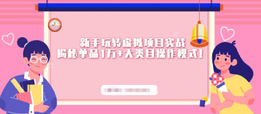 新手玩转虚拟项目实战，揭秘单品1万+大类目操作模式【视频课程】-烽云网