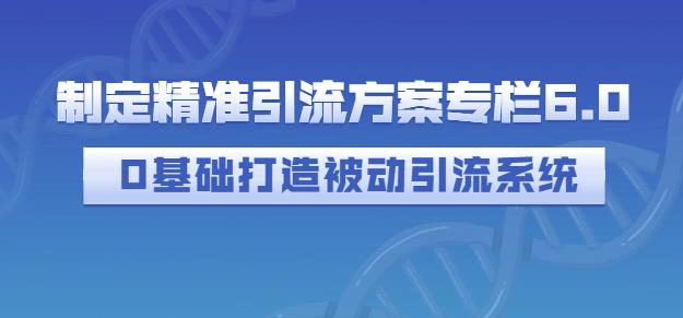 制定精准引流方案专栏6.0，0基础打造被动引流系统-烽云网