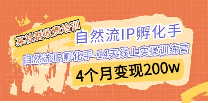某社群收费培训:自然流IP 孵化手-14天线上实操训练营 4个月变现200w-烽云网