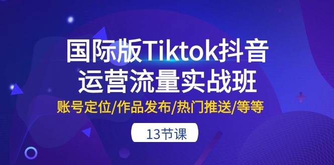 国际版Tiktok抖音运营流量实战班：账号定位/作品发布/热门推送/等等-13节-烽云网
