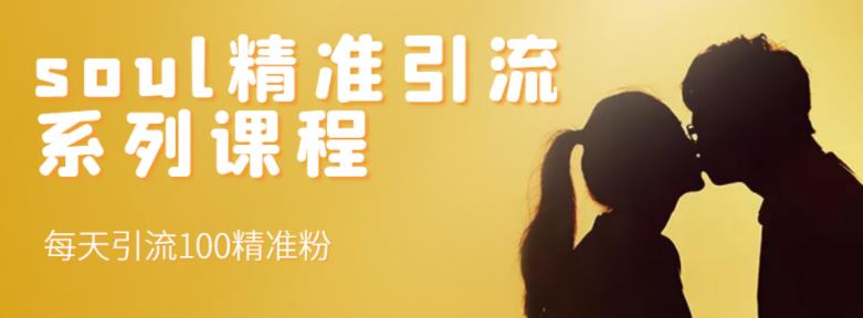 soul精准引流系列课程,每天引流100精准粉-烽云网